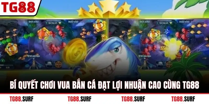 Bí quyết chơi vua bắn cá đạt lợi nhuận cao cùng TG88