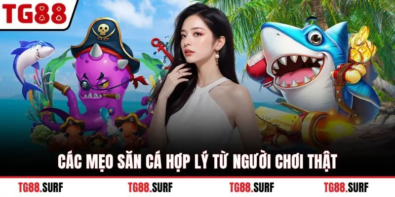 Các mẹo săn cá hợp lý từ người chơi thật