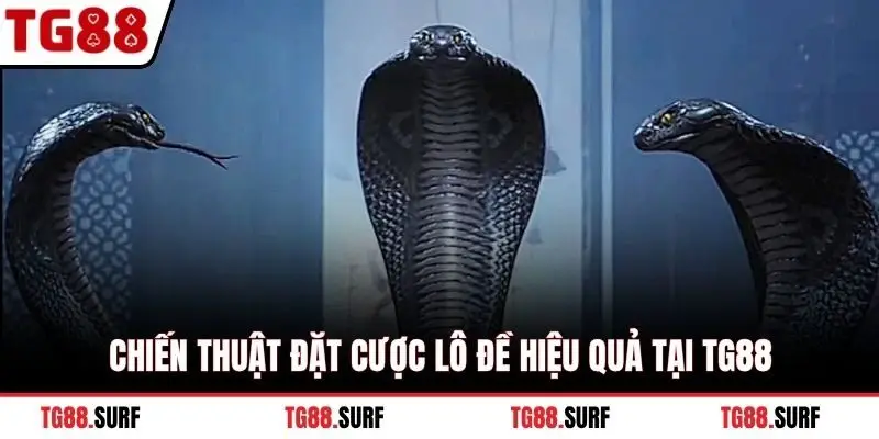 Chiến thuật đặt cược lô đề hiệu quả tại TG88