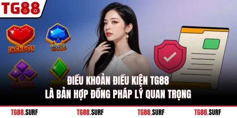 Điều khoản điều kiện TG88 là bản hợp đồng pháp lý quan trọng