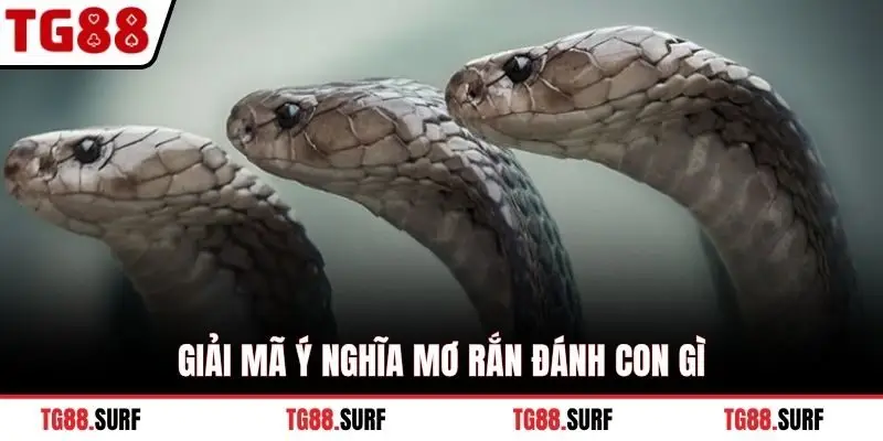 Giải mã ý nghĩa mơ rắn đánh con gì