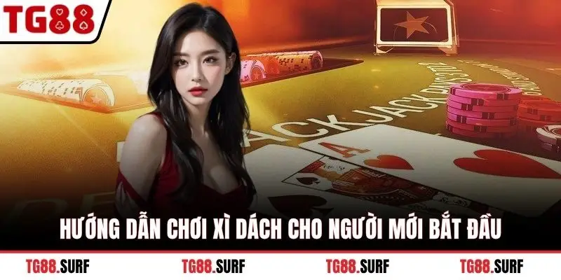 Hướng dẫn chơi xì dách cho người mới bắt đầu