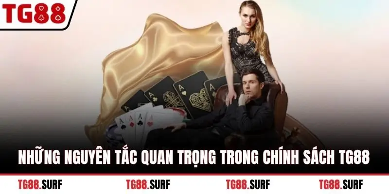 Những nguyên tắc quan trọng trong chính sách TG88