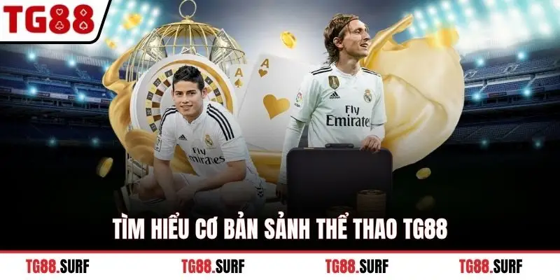 Tìm hiểu cơ bản sảnh Thể Thao TG88
